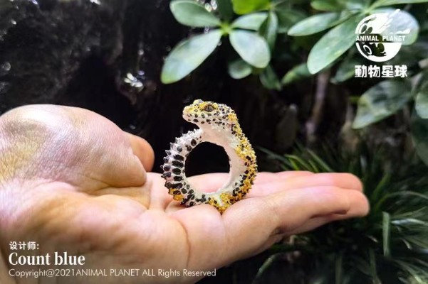 动物戒指 豹纹守宫