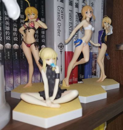 BEACH QUEENS Fate/hollow ataraxia 阿尔托莉雅 Alter