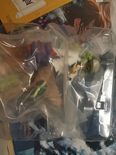 宝可梦 黑/白  N＆索罗亚