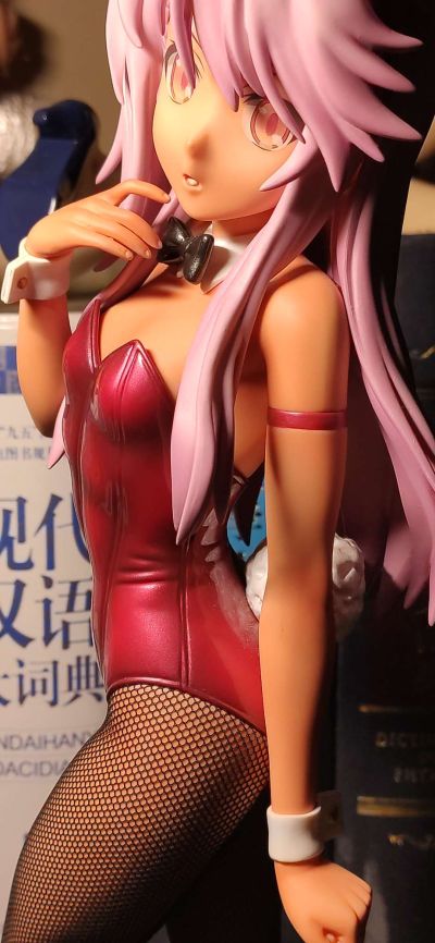 B-style Fate/kaleid liner 魔法少女☆伊莉雅 克洛伊·冯·爱因兹贝伦 兔女郎