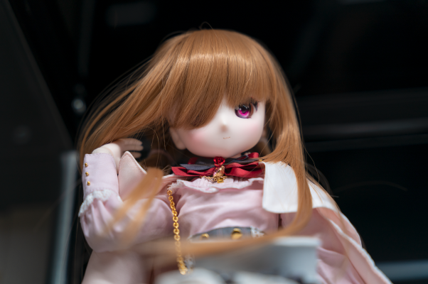 艾莉丝收集 铃音/～奇迹少女～哥特×萝莉 猫咪 (Azone商城贩售ver.)