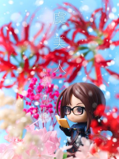 粘土人#1589 命运-冠位指定 暗匿者 / 雏罂