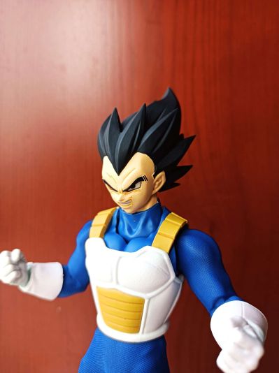 Imagination Works 龙珠Z 贝吉塔