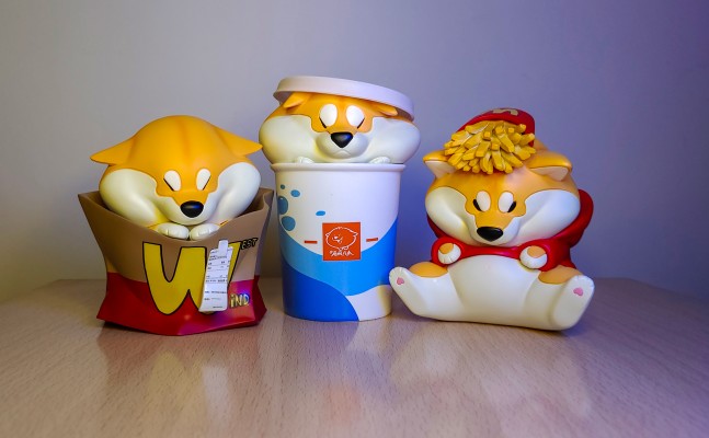 阿柴枸杞 快餐款