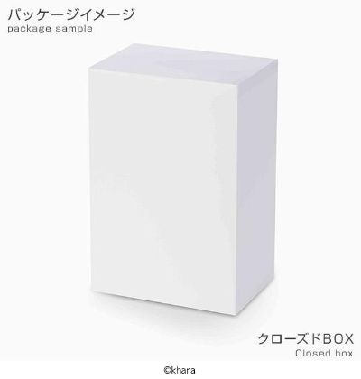 超级景品 新世纪福音战士新剧场版  真希波·真理·伊拉丝多莉亚斯