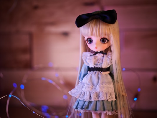 Harmonia bloom ALICE L