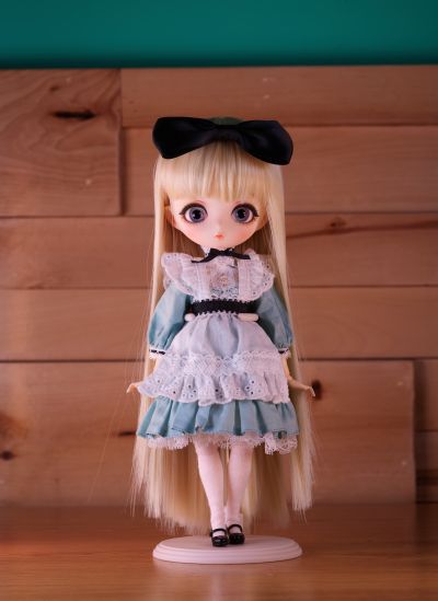 Harmonia bloom ALICE L