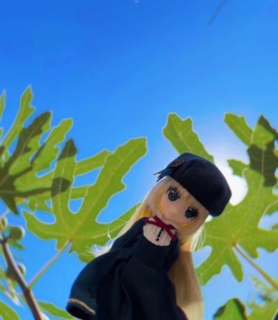 Picconeemo ~ Purimyure Fairy Church ~ 