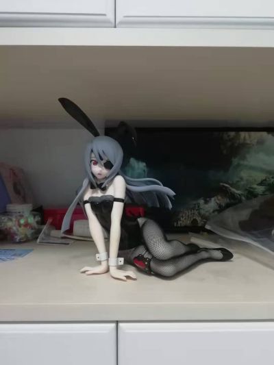 IS〈无限斯特拉托斯〉 拉芙拉 兔女郎版