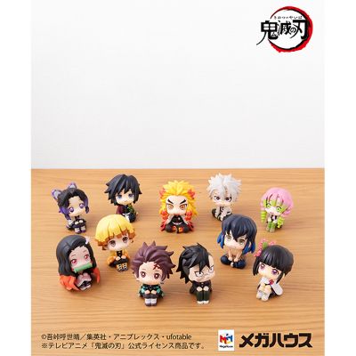 Look Up 鬼灭之刃 灶门炭治郎 最终选拔ver.