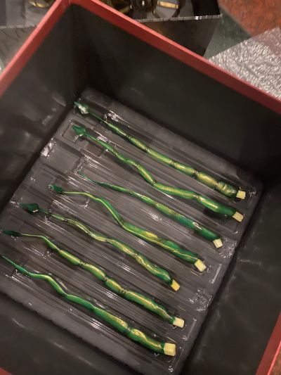 真·女神转生 魔罗