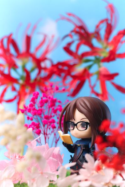 粘土人#1589 命运-冠位指定 暗匿者 / 雏罂