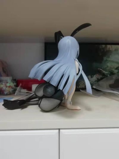 IS〈无限斯特拉托斯〉 拉芙拉 兔女郎版