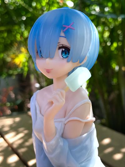 Re：从零开始的异世界生活 蕾姆 夏季Ver.