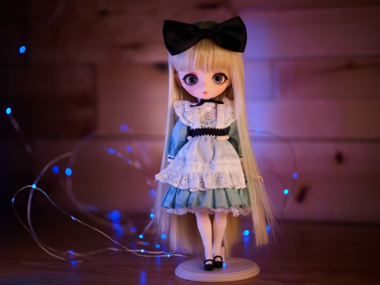 Harmonia bloom ALICE L