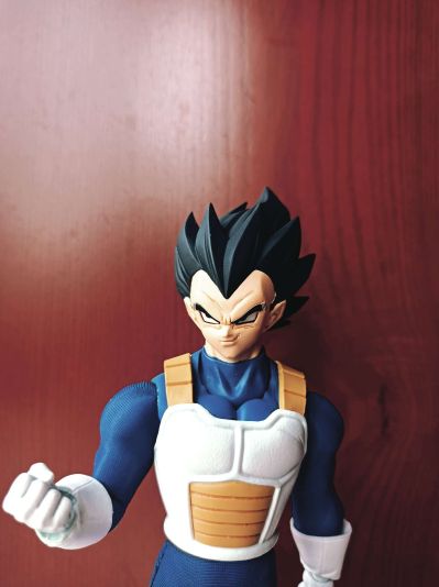 Imagination Works 龙珠Z 贝吉塔