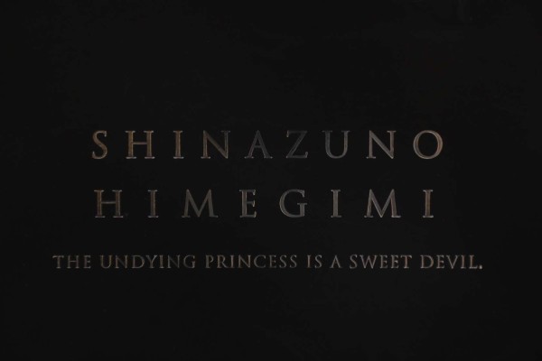 吸血鬼公主玛丽