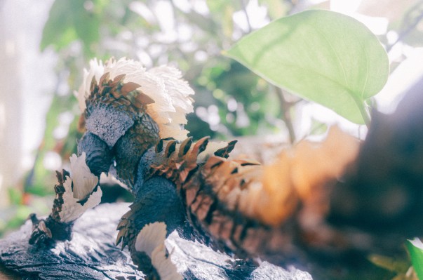 S.H.MonsterArts  怪物猎人系列   雷狼龙