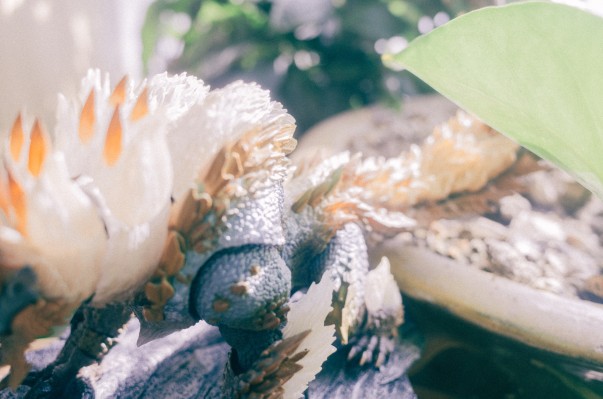 S.H.MonsterArts  怪物猎人系列   雷狼龙