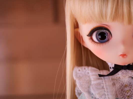 Harmonia bloom ALICE L