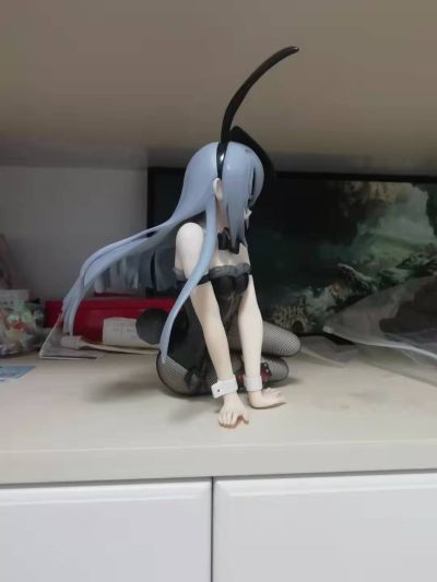 IS〈无限斯特拉托斯〉 拉芙拉 兔女郎版