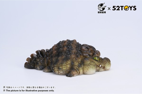 《歇会儿》系列第二弹—尼罗鳄