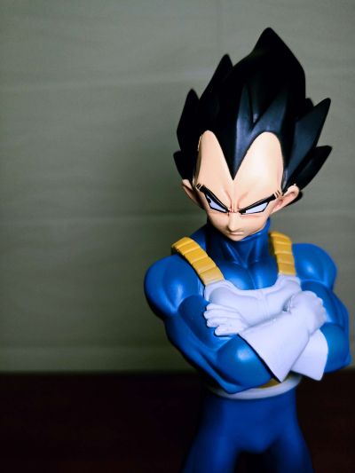 スカルチャーズ 龙珠Z 贝吉塔 