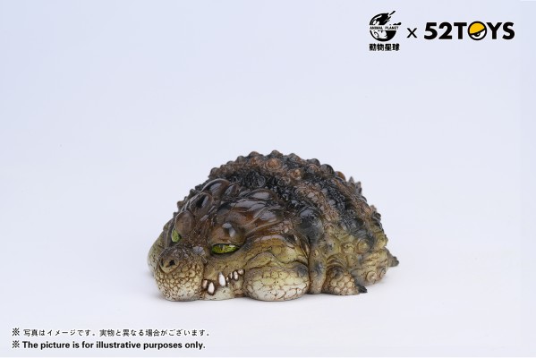 《歇会儿》系列第二弹—尼罗鳄