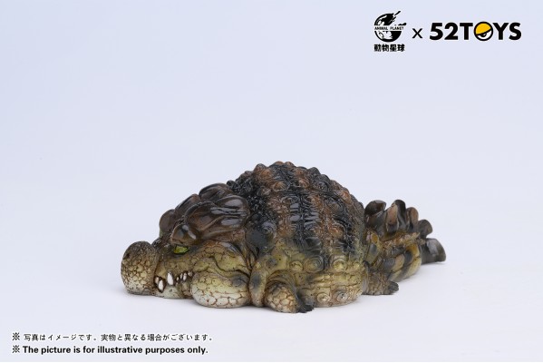 《歇会儿》系列第二弹—尼罗鳄