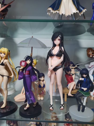 加速世界 黑雪姬 兔女郎