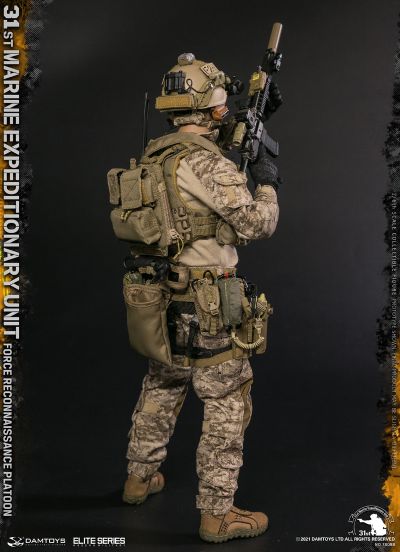 78088 第31海军陆战队远征军直属侦察部队 侦察排