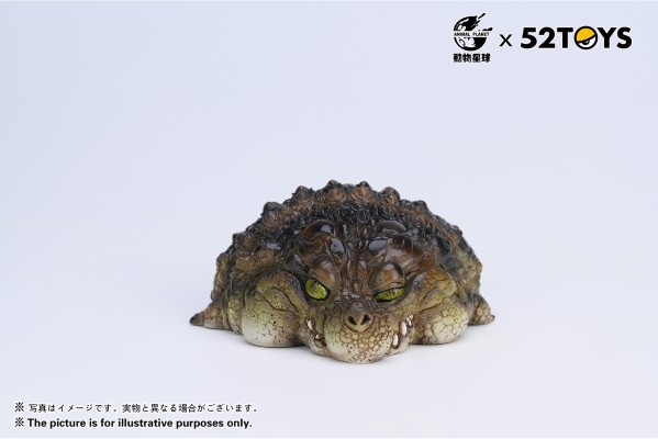 《歇会儿》系列第二弹—尼罗鳄