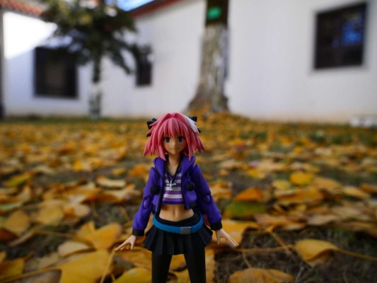 figma#493 Fate/Apocrypha 阿斯托尔福 私服Ver.