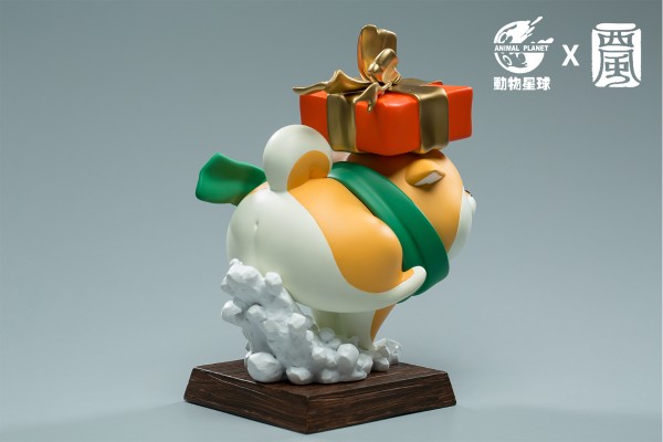 阿柴枸杞 圣诞限定款