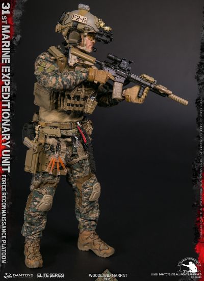 78089 第31海军陆战队远征军直属侦察部队 侦察排 林地迷彩版