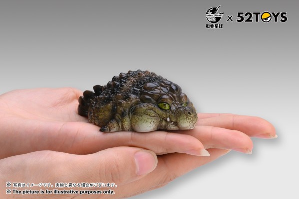 《歇会儿》系列第二弹—尼罗鳄