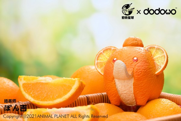 果物精灵 橙象