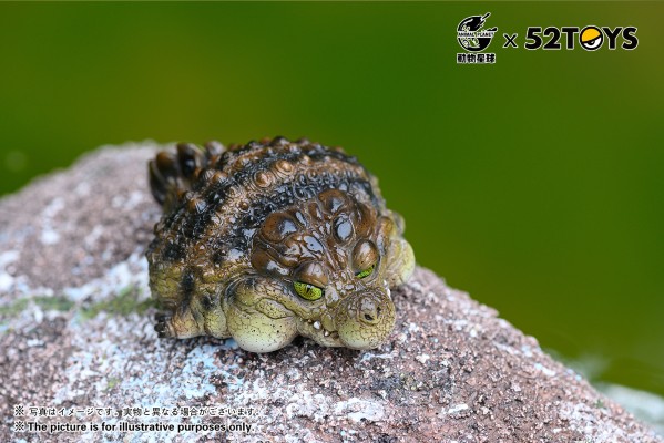 《歇会儿》系列第二弹—尼罗鳄