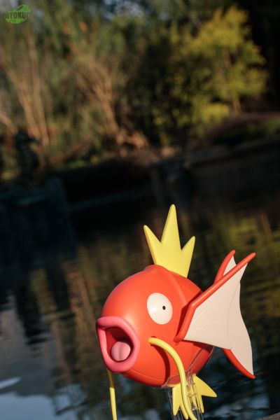 宝可梦模型 超大系列 01 鲤鱼王