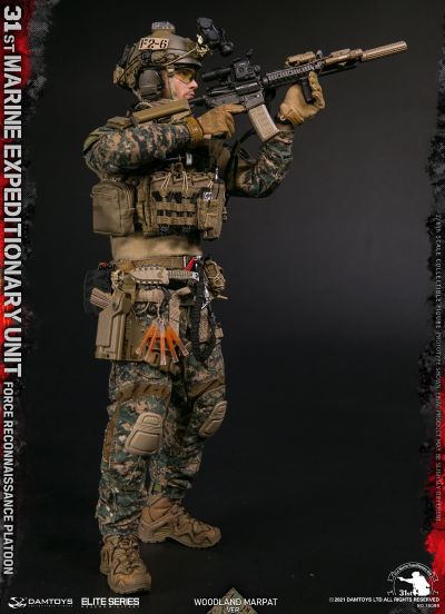 78089 第31海军陆战队远征军直属侦察部队 侦察排 林地迷彩版