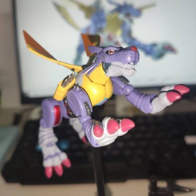 掌动 数码宝贝2