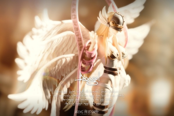 超进化魂#4  数码暴龙大冒险 天女兽&迪路兽