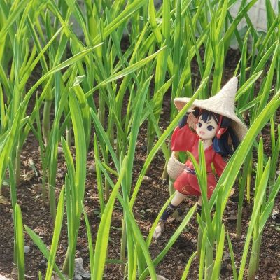 天穗之咲稻姬 小坐系列奖品人偶 “佐久名公主”