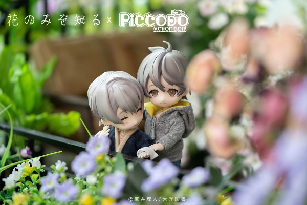 PICCODO 只有花知晓 有川洋一 与 御崎诏太