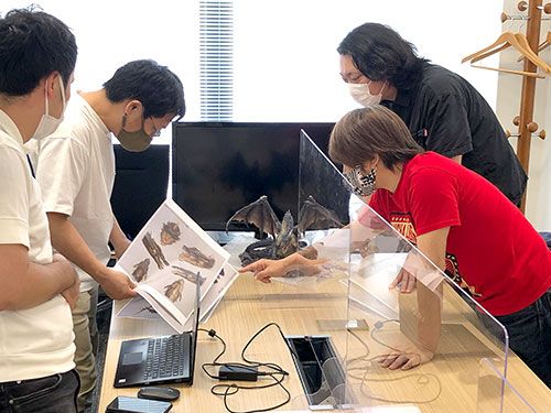 CFBCM   怪物猎人系列 黑龙