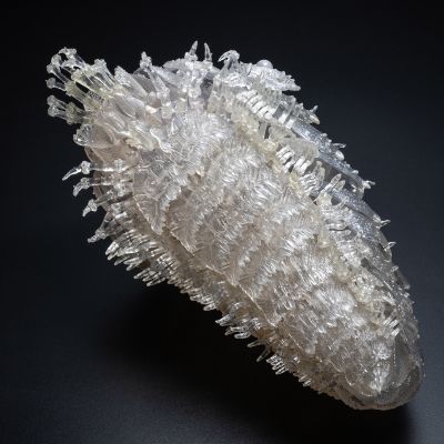 竹谷式自在置物 风之谷 王虫 透明版