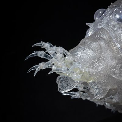 竹谷式自在置物 风之谷 王虫 透明版