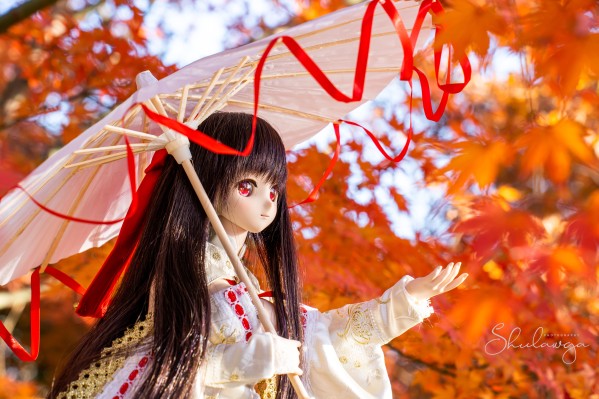 Dollfie Dream DD 机巧少女不会受伤 夜夜