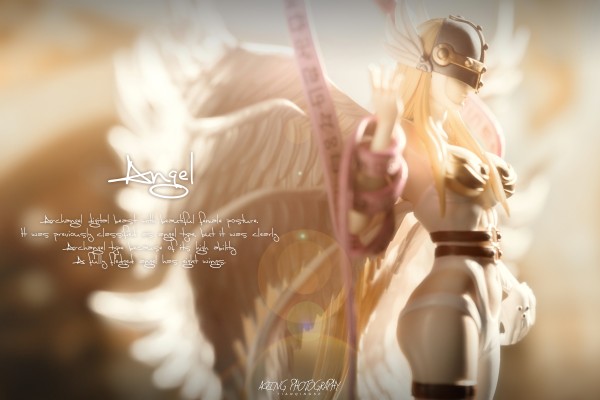 超进化魂#4  数码暴龙大冒险 天女兽&迪路兽