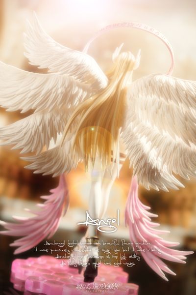 GEM系列 数码宝贝 天女兽＆八神嘉儿